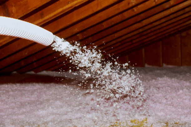 Best Residential Insulation in Elon, NC