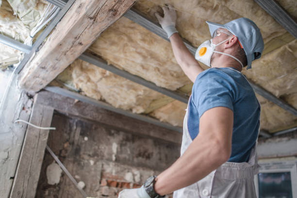 Best Insulation Installation Services in Elon, NC