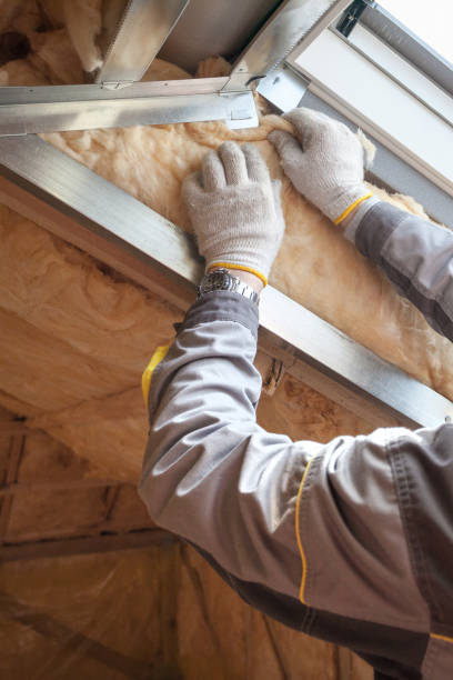 Best Commercial Insulation in Elon, NC