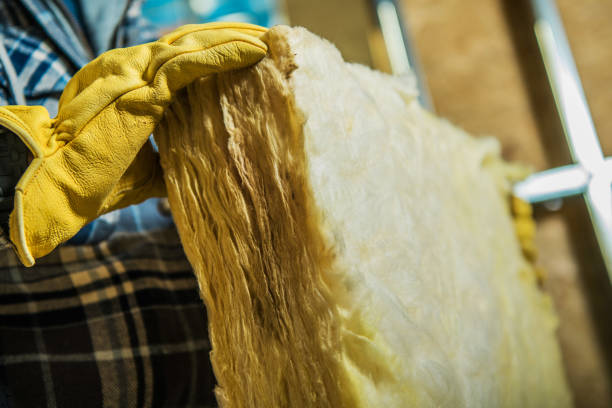 Best Insulation Installation Services in Elon, NC